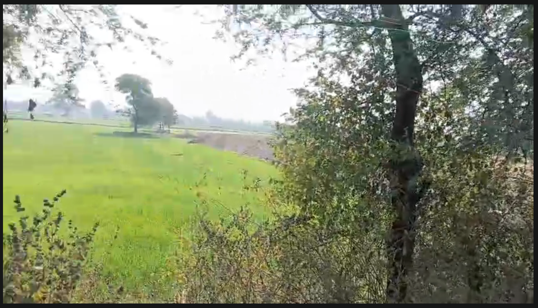 River-View Agricultural Land for Farmhouse – 1 Acre Near Tilwara