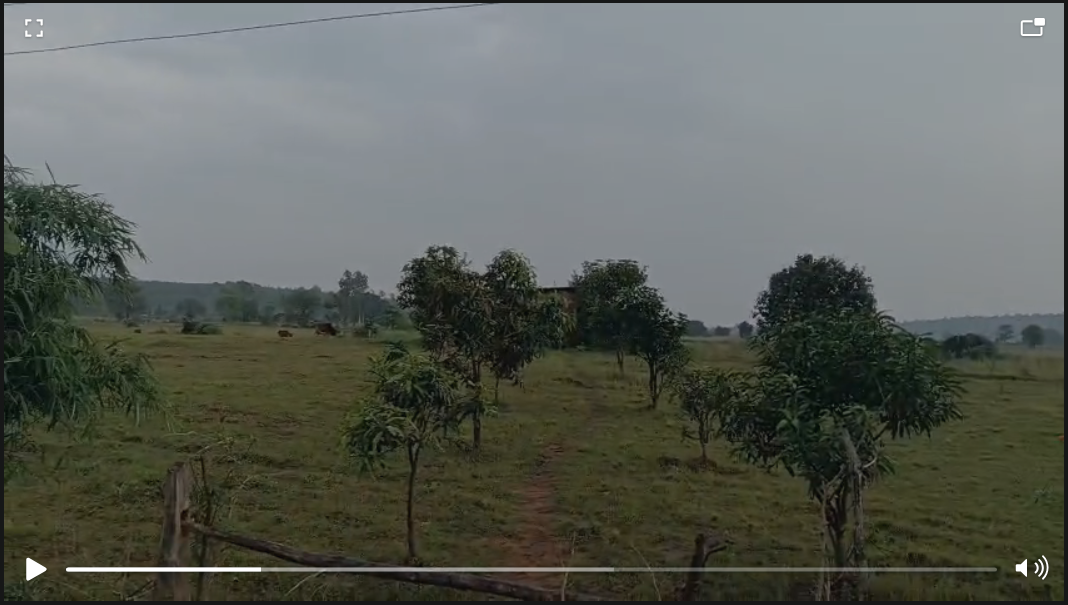 Prime Agricultural Land with Mango Trees Near Chargawa Road – 7.5 Acres