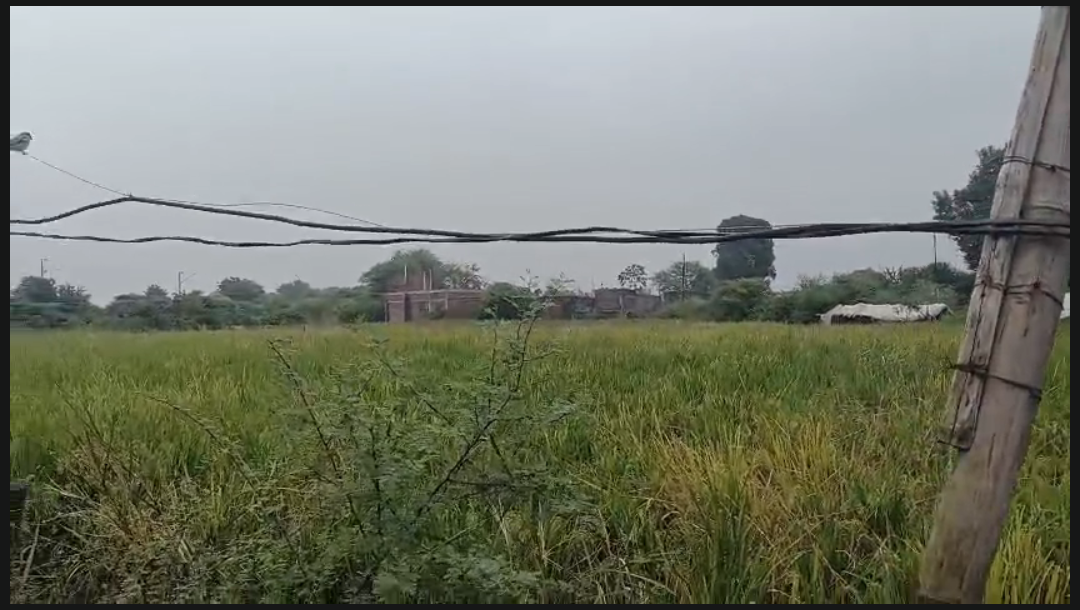 Residential Plot for Sale Near Prabhat Parisar, Parswada